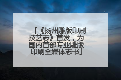 《扬州雕版印刷技艺志》首发，为国内首部专业雕版印刷全媒体志书