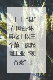 「“县”在图强·环县②」以三个第一挺起强工业“硬脊梁”