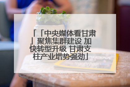 「中央媒体看甘肃」聚焦集群建设 加快转型升级 甘肃支柱产业增势强劲