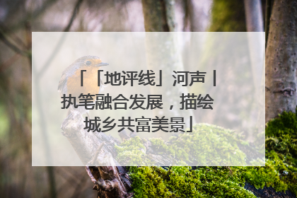 「地评线」河声丨执笔融合发展，描绘城乡共富美景
