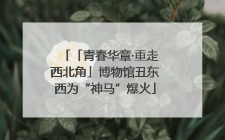 「青春华章·重走西北角」博物馆丑东西为“神马”爆火