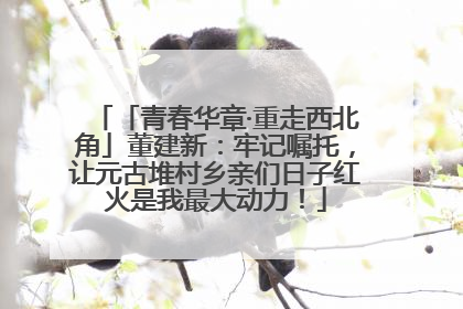 「青春华章·重走西北角」董建新：牢记嘱托，让元古堆村乡亲们日子红火是我最大动力！
