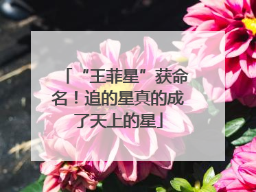 “王菲星”获命名！追的星真的成了天上的星