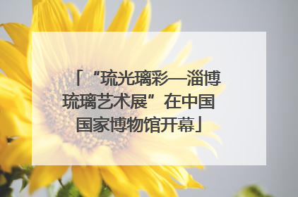 “琉光璃彩—淄博琉璃艺术展”在中国国家博物馆开幕