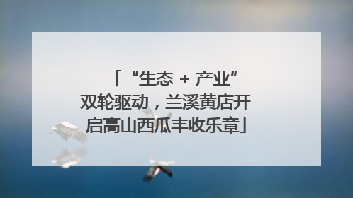 “生态 + 产业”双轮驱动，兰溪黄店开启高山西瓜丰收乐章