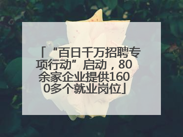 “百日千万招聘专项行动”启动，80余家企业提供1600多个就业岗位