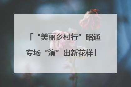“美丽乡村行”昭通专场“演”出新花样