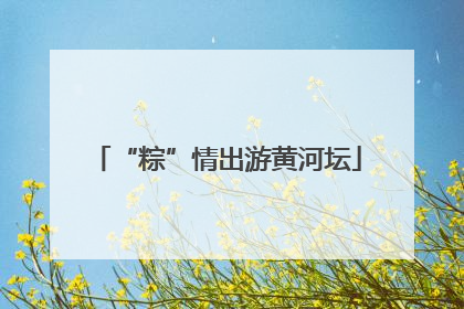 “粽”情出游黄河坛