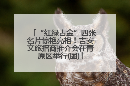 “红绿古金”四张名片惊艳亮相！吉安文旅招商推介会在青原区举行(图)