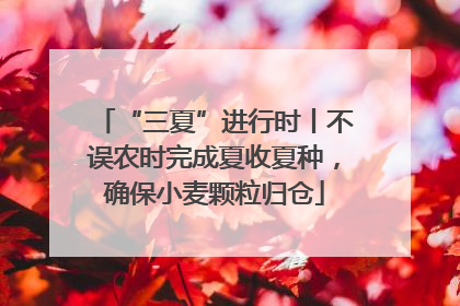 “三夏”进行时丨不误农时完成夏收夏种，确保小麦颗粒归仓