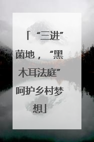 “三进”菌地，“黑木耳法庭”呵护乡村梦想