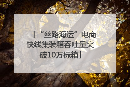 “丝路海运”电商快线集装箱吞吐量突破10万标箱