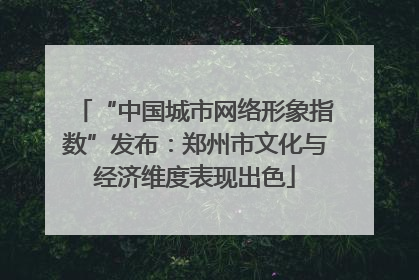 “中国城市网络形象指数”发布：郑州市文化与经济维度表现出色