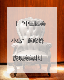 “中国最美小鸟”蓝喉蜂虎现身闽北