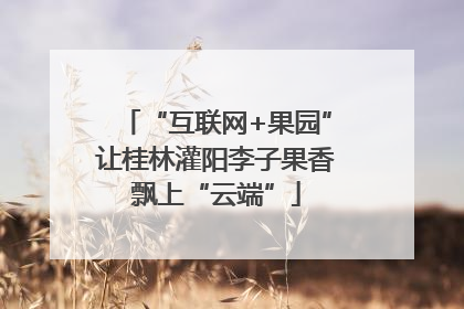 “互联网+果园”让桂林灌阳李子果香飘上“云端”