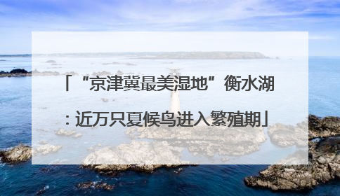 “京津冀最美湿地”衡水湖：近万只夏候鸟进入繁殖期