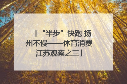 “半步”快跑 扬州不慢——体育消费江苏观察之三