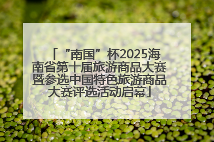 “南国”杯2025海南省第十届旅游商品大赛暨参选中国特色旅游商品大赛评选活动启幕