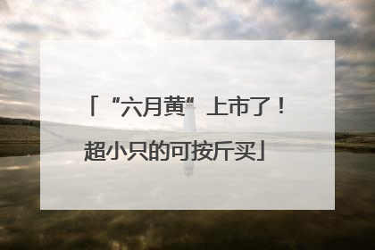 “六月黄”上市了！超小只的可按斤买