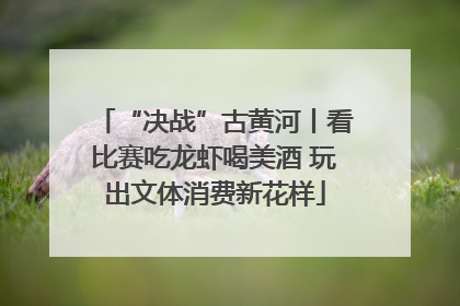 “决战”古黄河丨看比赛吃龙虾喝美酒 玩出文体消费新花样