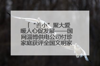 “善小”聚大爱 暖人心促发展——国网淄博供电公司付珍家庭获评全国文明家庭背后的文明密码