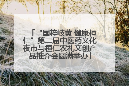 “国粹岐黄 健康桓仁”第二届中医药文化夜市与桓仁农礼文创产品推介会圆满举办