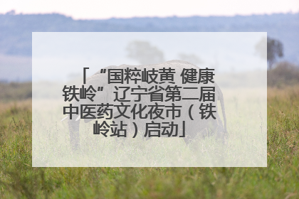 “国粹岐黄 健康铁岭”辽宁省第二届中医药文化夜市（铁岭站）启动