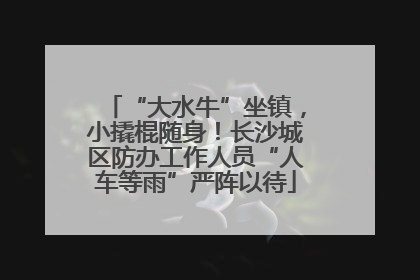 “大水牛”坐镇，小撬棍随身！长沙城区防办工作人员“人车等雨”严阵以待
