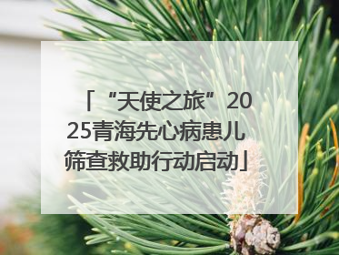 “天使之旅”2025青海先心病患儿筛查救助行动启动