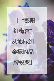 “彭阳红梅杏”从地标到金标的品牌蜕变