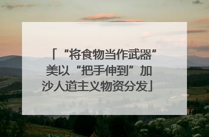 “将食物当作武器” 美以“把手伸到”加沙人道主义物资分发