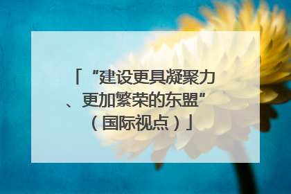 “建设更具凝聚力、更加繁荣的东盟”（国际视点）