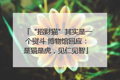 “招财猫”其实是一个熨斗 博物馆回应：是猫是虎，见仁见智