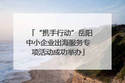 “携手行动”岳阳中小企业出海服务专项活动成功举办