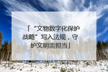 “文物数字化保护战略”写入法规，守护文明需担当