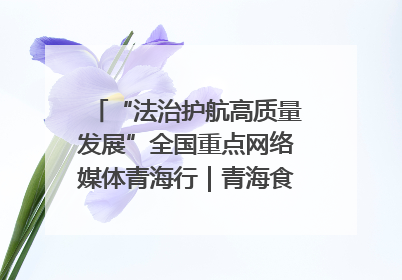 “法治护航高质量发展”全国重点网络媒体青海行｜青海食品工业协会：架起“青字号”美食的产业化桥梁