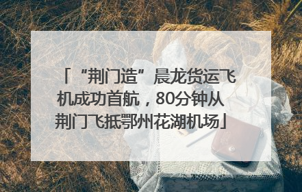“荆门造”晨龙货运飞机成功首航，80分钟从荆门飞抵鄂州花湖机场