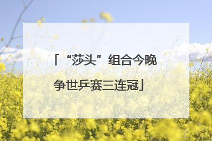 “莎头”组合今晚争世乒赛三连冠