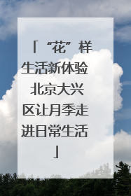 “花”样生活新体验 北京大兴区让月季走进日常生活
