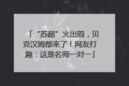 “苏超”火出圈，贝克汉姆都来了！网友打趣：这是名师一对一