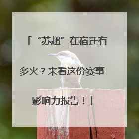 “苏超”在宿迁有多火？来看这份赛事影响力报告！