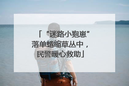 “迷路小狍崽”落单蜷缩草丛中，民警暖心救助