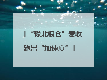 “豫北粮仓”麦收跑出“加速度”