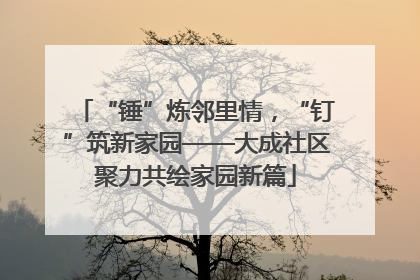 “锤”炼邻里情，“钉”筑新家园——大成社区聚力共绘家园新篇