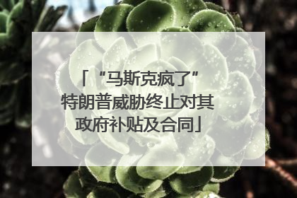“马斯克疯了” 特朗普威胁终止对其政府补贴及合同