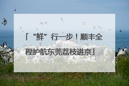 “鲜”行一步！顺丰全程护航东莞荔枝进京