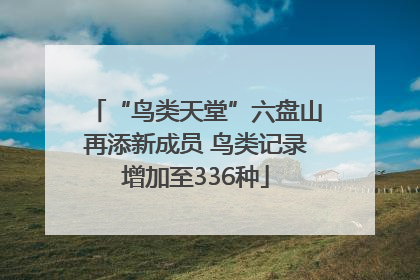 “鸟类天堂”六盘山再添新成员 鸟类记录增加至336种