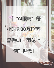 “AI眼睛”每小时为30万粒药品做CT｜雨花“创”世代