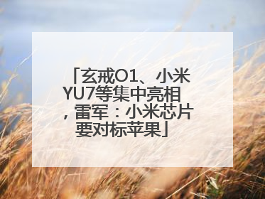 玄戒O1、小米YU7等集中亮相，雷军：小米芯片要对标苹果