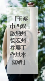 玉溪市西双版纳州德宏州参展工作基本就绪